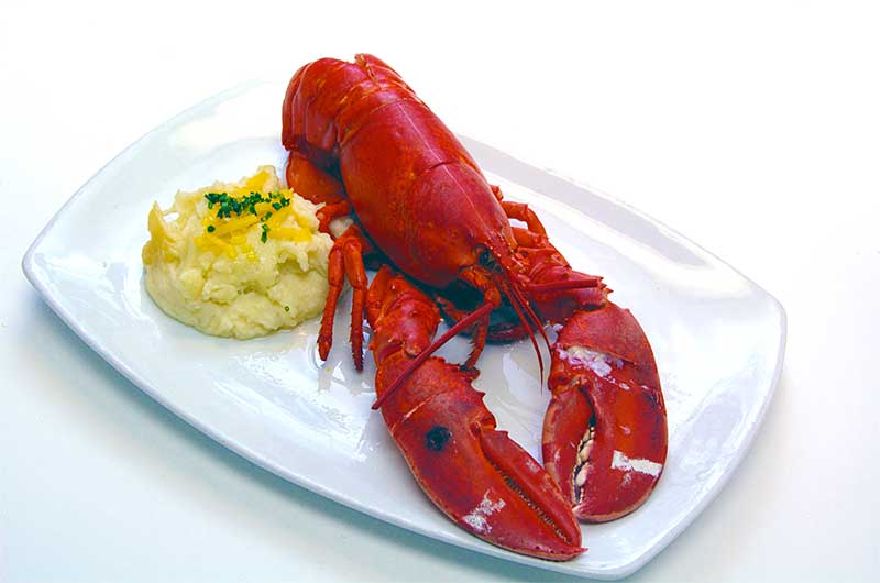 steamed lobster a la Jose Mier