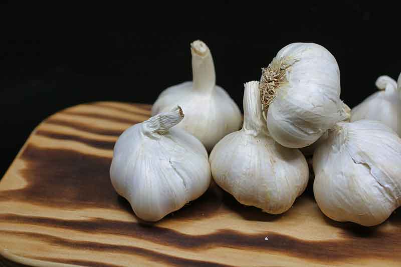 Garlic bulbs in Jose Mier Sun Valley, CA kitchen