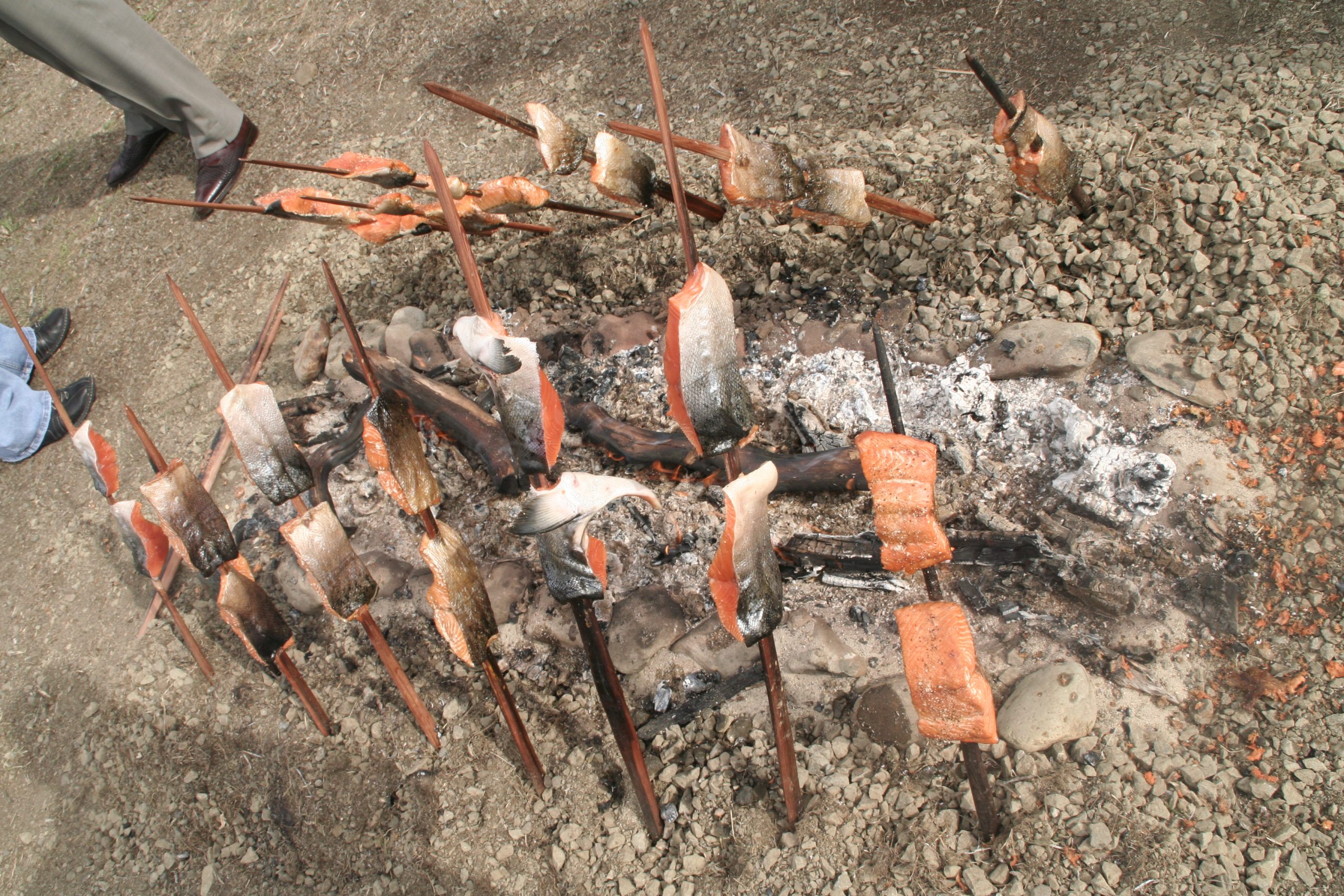 Salmon baking over a traditional fire